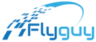 Fly Guy - בניית אתרי תדמית