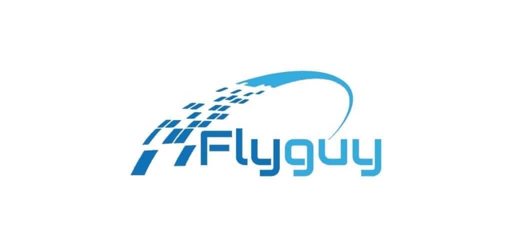 Fly Guy Logo חוות דעת