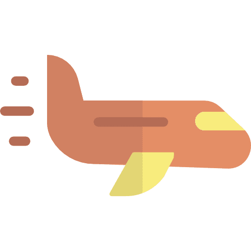 דף נחיתה, Fly Guy