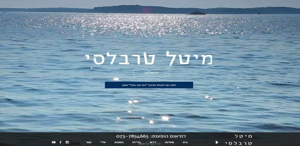 מיטל טרבלסי חנויות וירטואליות – אתרי מסחר, Fly Guy