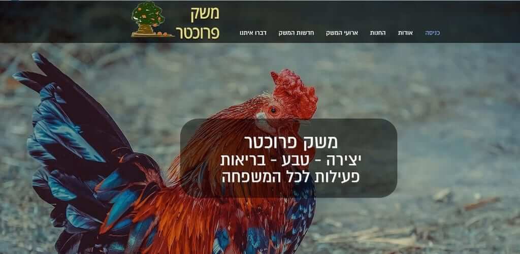 משק פרוכטר אתר תדמית, Fly Guy