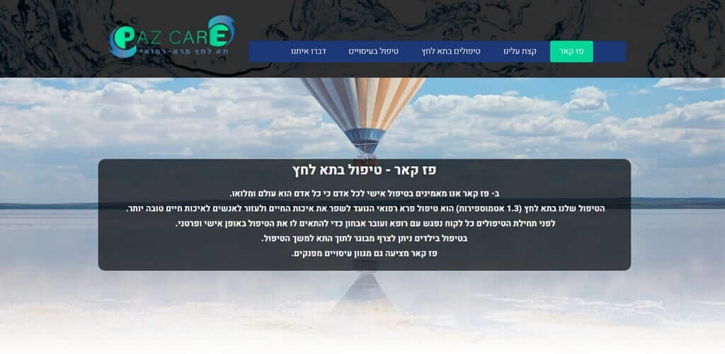 פז קאר – תדמית אתר תדמית, Fly Guy