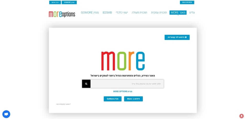 More Option אתר תדמית, Fly Guy