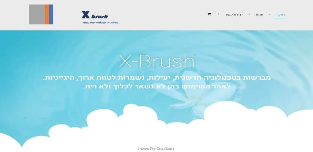 X-Brush חנויות וירטואליות – אתרי מסחר, Fly Guy