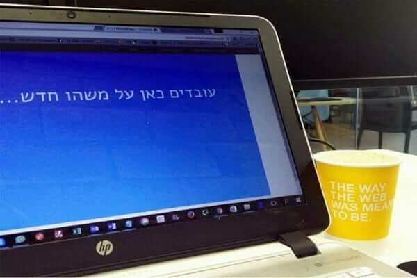 אודות, Fly Guy