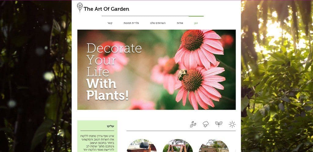 The Art Of Garden