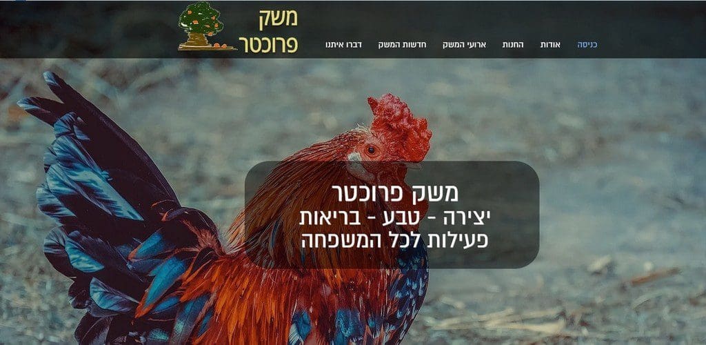 משק פרוכטר