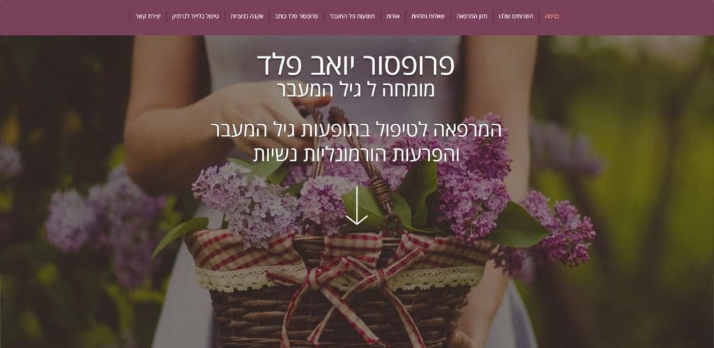 פרופסור יואב פלד
