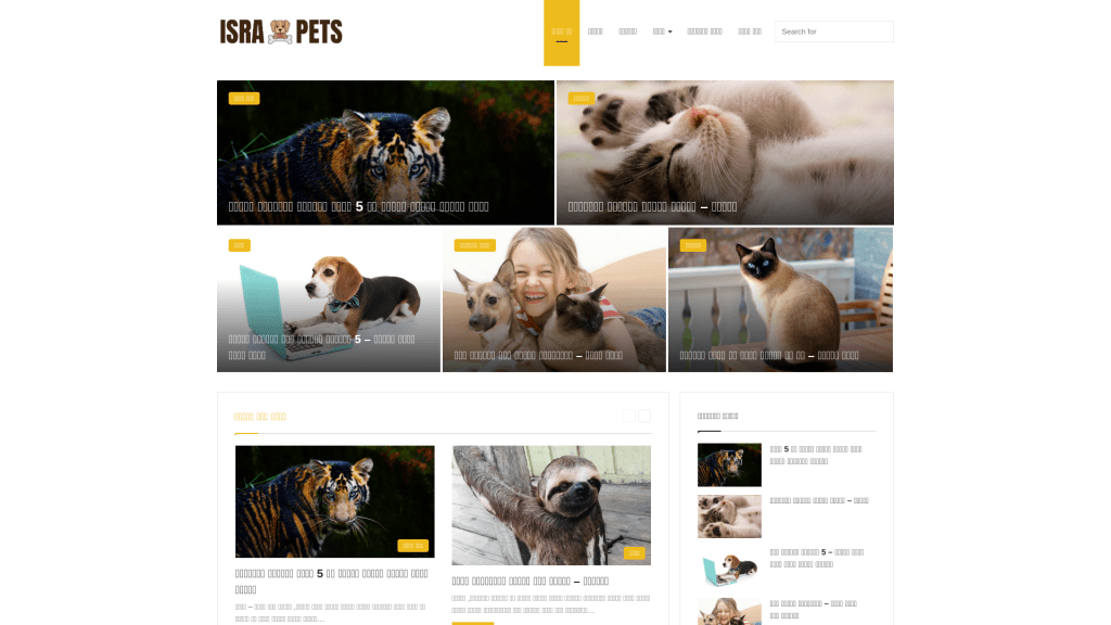 עט הזהב - פרסום מאמרי תוכן לקידום אתרים.  אתר www.israpets.co.il לקידום בעלי חיים